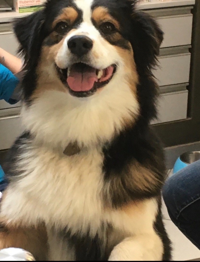Opal Aussie O?top